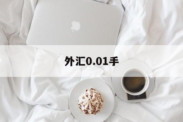 外汇0.01手(外汇001手是多少钱)