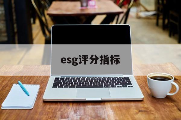 esg评分指标(essdai评分表)