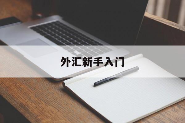 外汇新手入门(外汇新手快速入门)